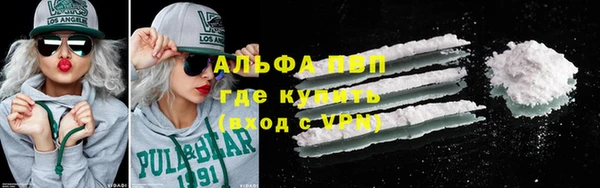 тгк Новозыбков