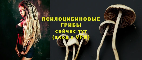 соль ск Абаза