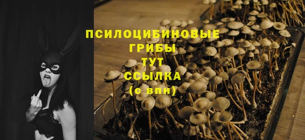 соль ск Абаза
