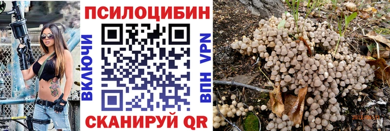 Галлюциногенные грибы Psilocybe  купить наркотик  Сызрань 