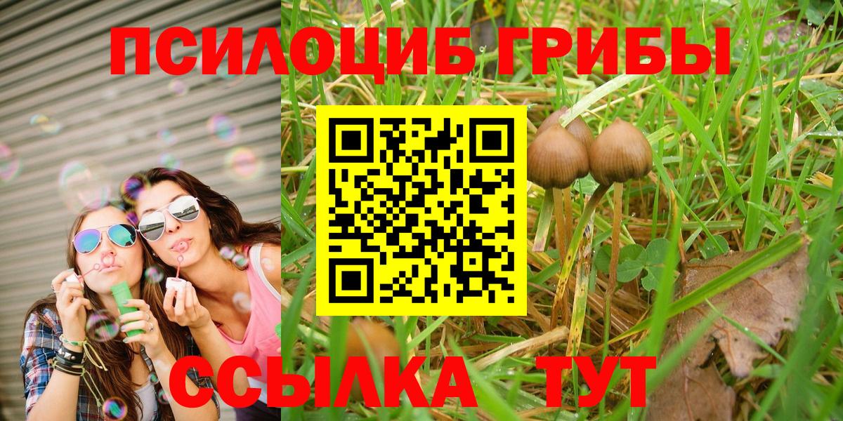 Псилоцибиновые грибы Psilocybine cubensis  Галлюциногенные грибы прущие грибы  Вход с VPN  Сызрань 